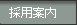�̗p�ē�